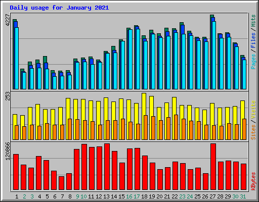 Daily usage for January 2021