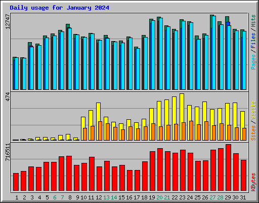 Daily usage for January 2024