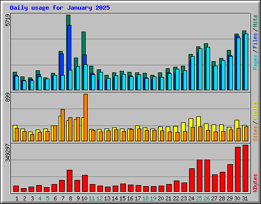 Daily usage for January 2025