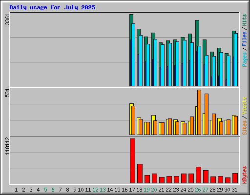 Daily usage for July 2025