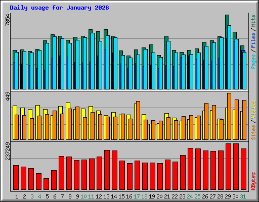 Daily usage for January 2026