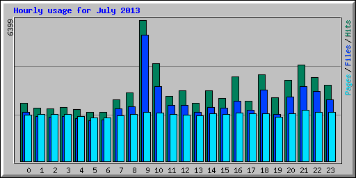 Hourly usage for July 2013