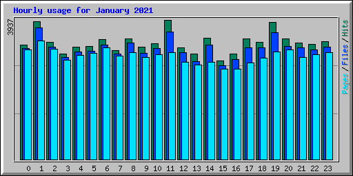 Hourly usage for January 2021