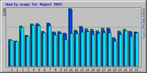 Hourly usage for August 2023