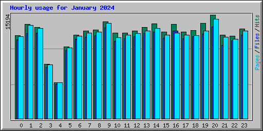 Hourly usage for January 2024