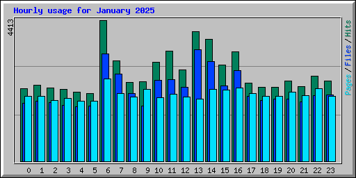 Hourly usage for January 2025
