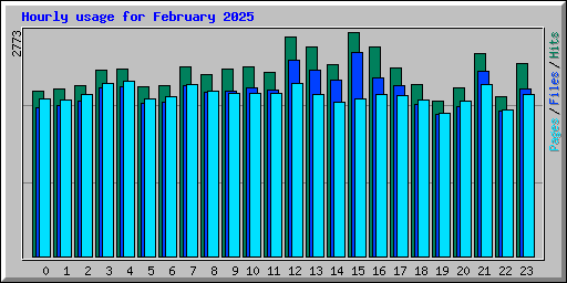 Hourly usage for February 2025