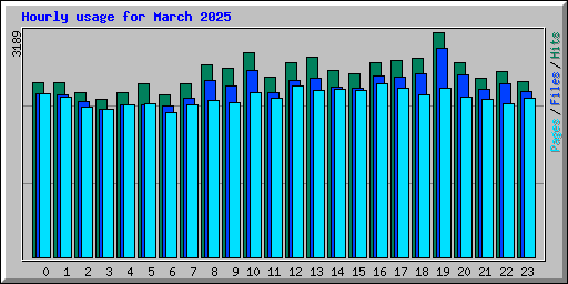Hourly usage for March 2025