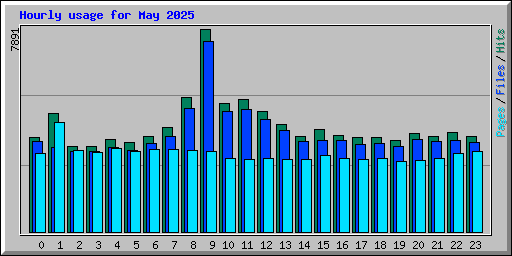 Hourly usage for May 2025