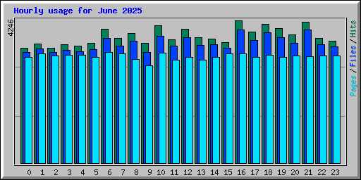 Hourly usage for June 2025