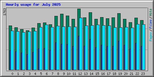 Hourly usage for July 2025