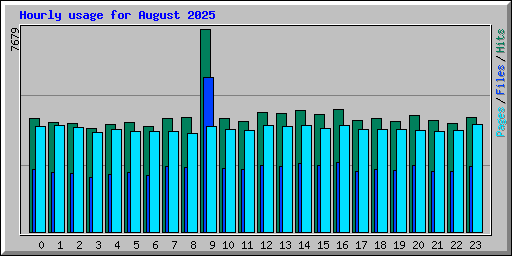 Hourly usage for August 2025