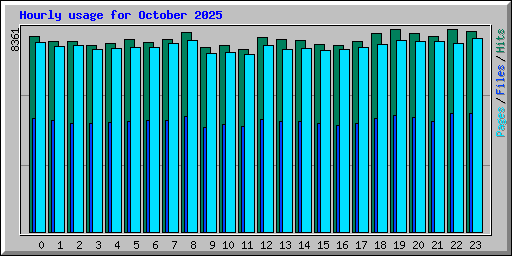 Hourly usage for October 2025