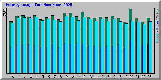 Hourly usage for November 2025