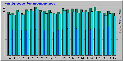 Hourly usage for December 2025