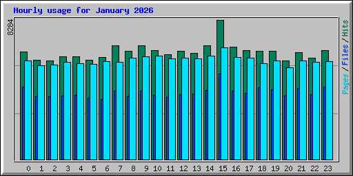 Hourly usage for January 2026