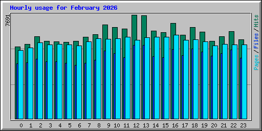 Hourly usage for February 2026